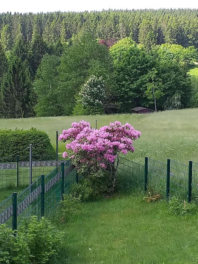 Ferienhaus Waldblick Siegmundsburg 外观 照片