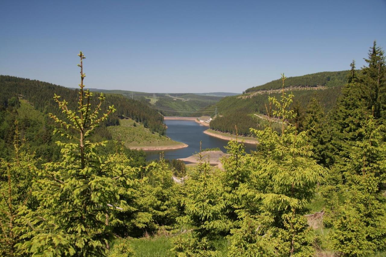 Ferienhaus Waldblick Siegmundsburg 外观 照片